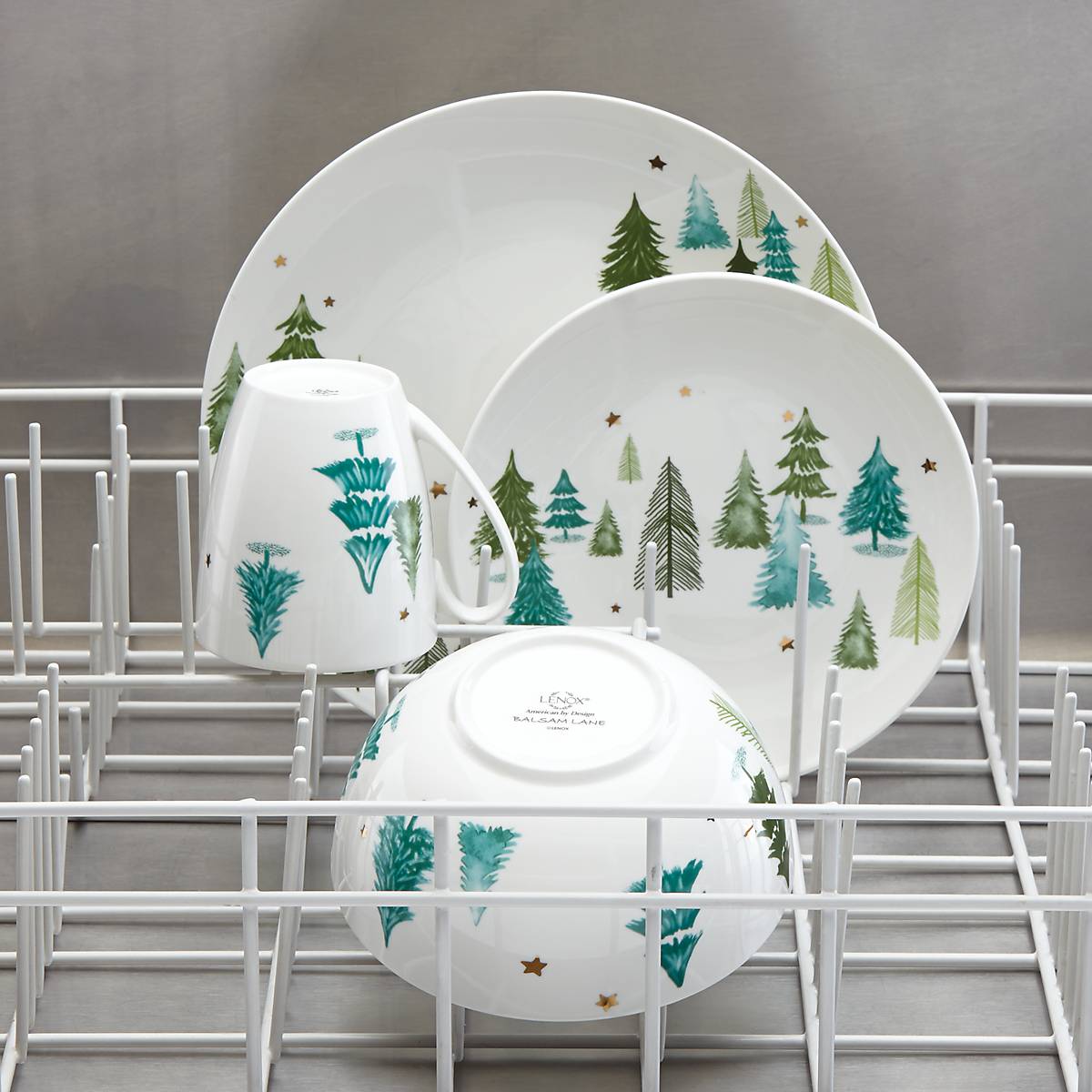 Balsam Lane Dinner Plates, Set of 4