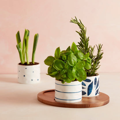 Blue Bay Snack Bowls with Wood Tray, Set of 3