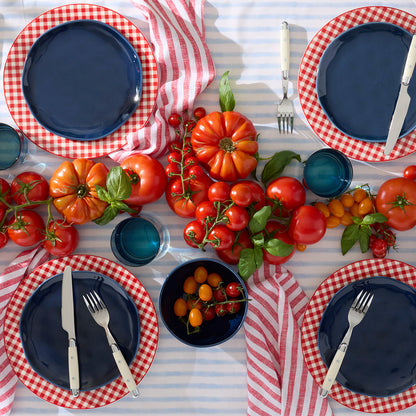 Gingham Red Dinner Plates, Set of 4