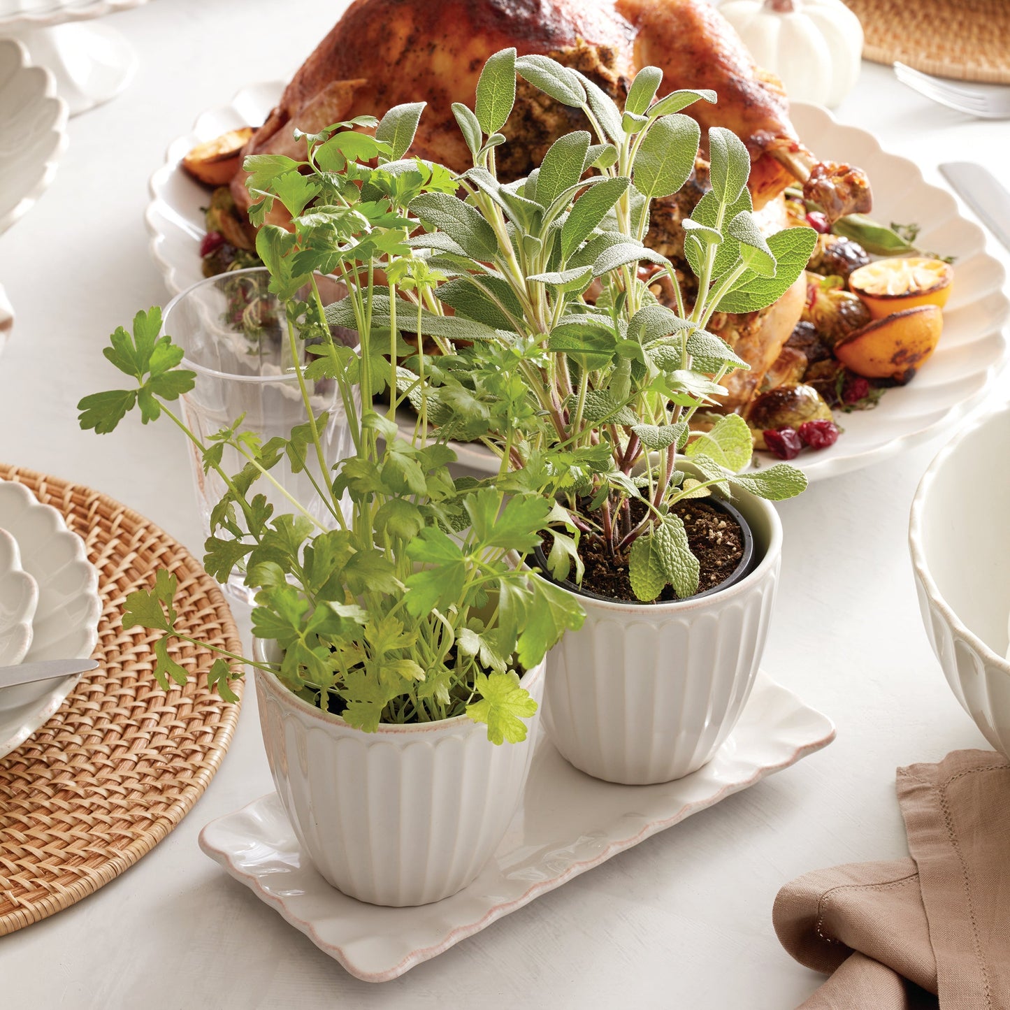 French Perle Scallop White 3-Piece Herb Pot Set