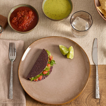 Organic Shades Clay 12-Piece Dinnerware Set