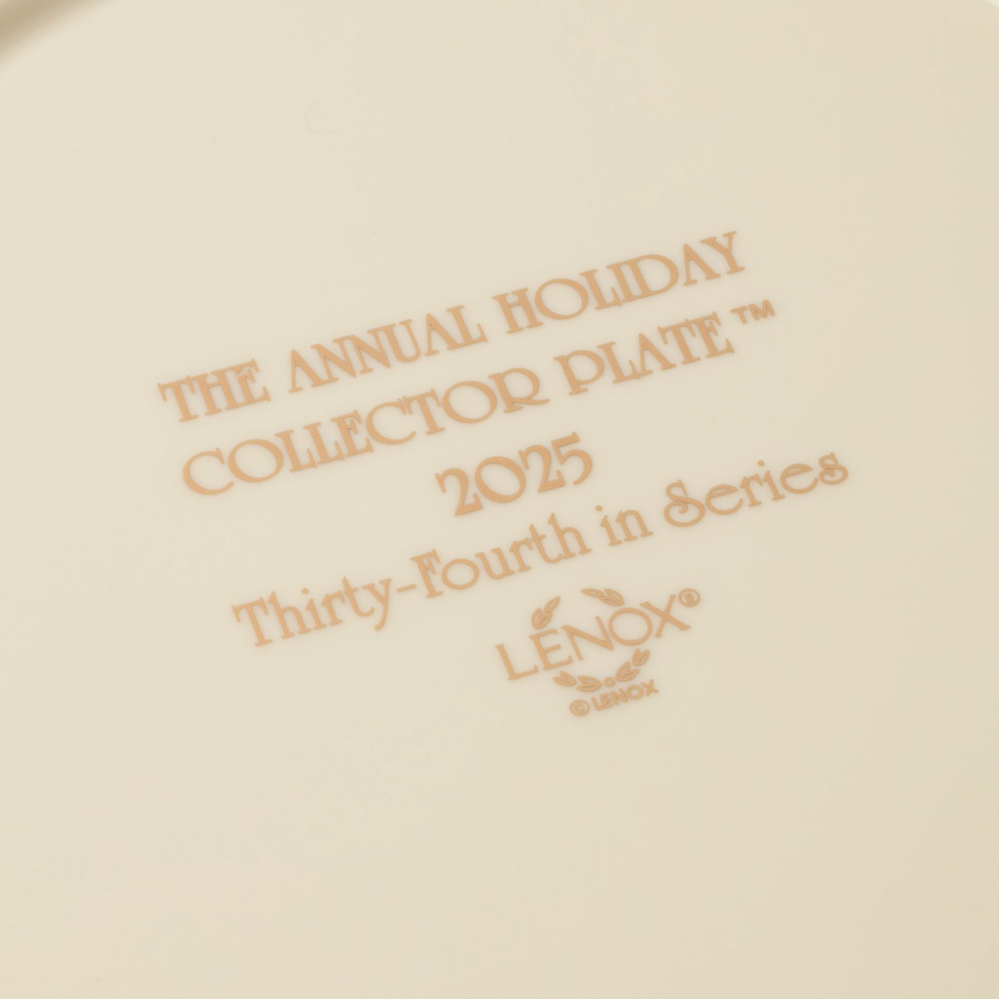 2025 Annual Holiday Plate Night Snow