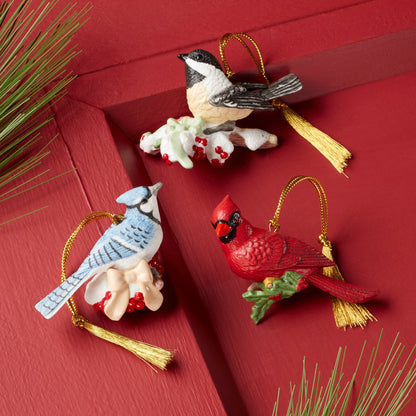 Winter Birds 3-Piece Ornament Set
