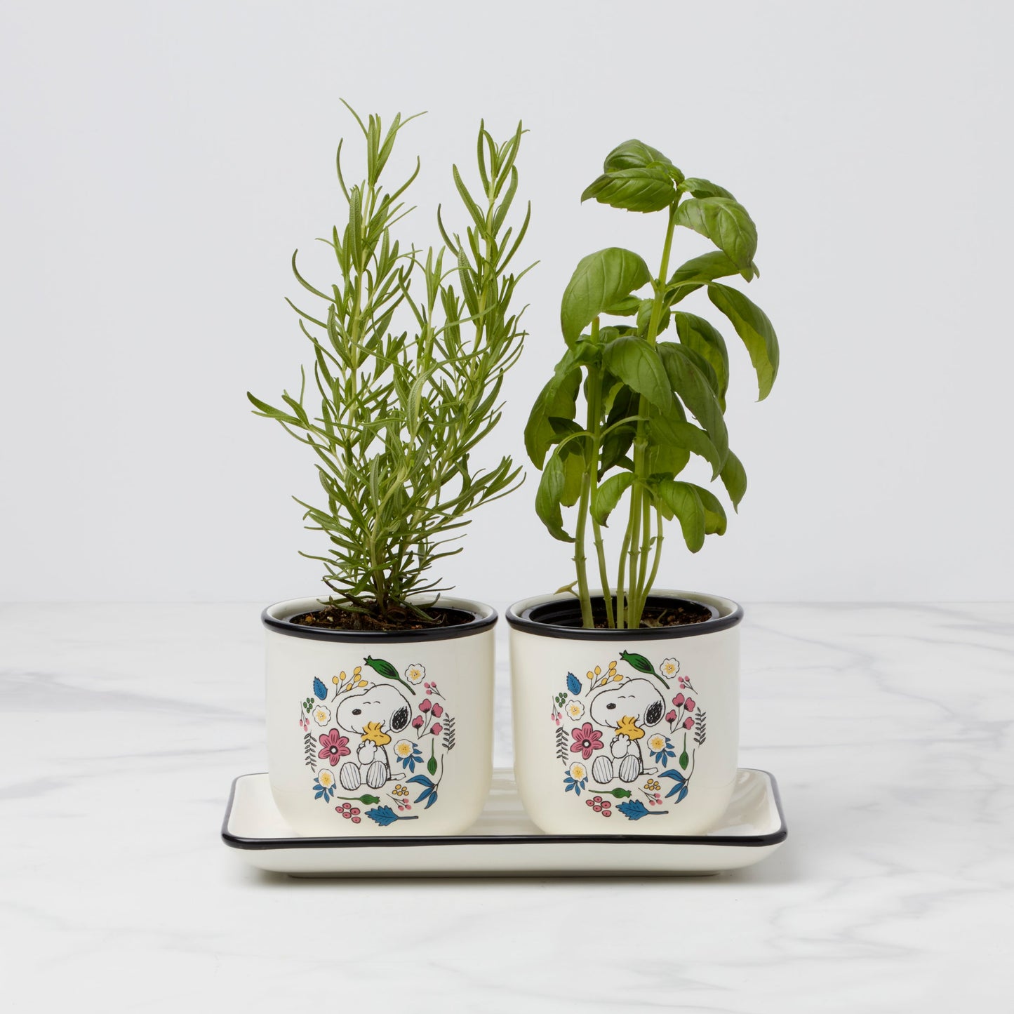 Chef Snoopy Herb Pots, Set Of 3