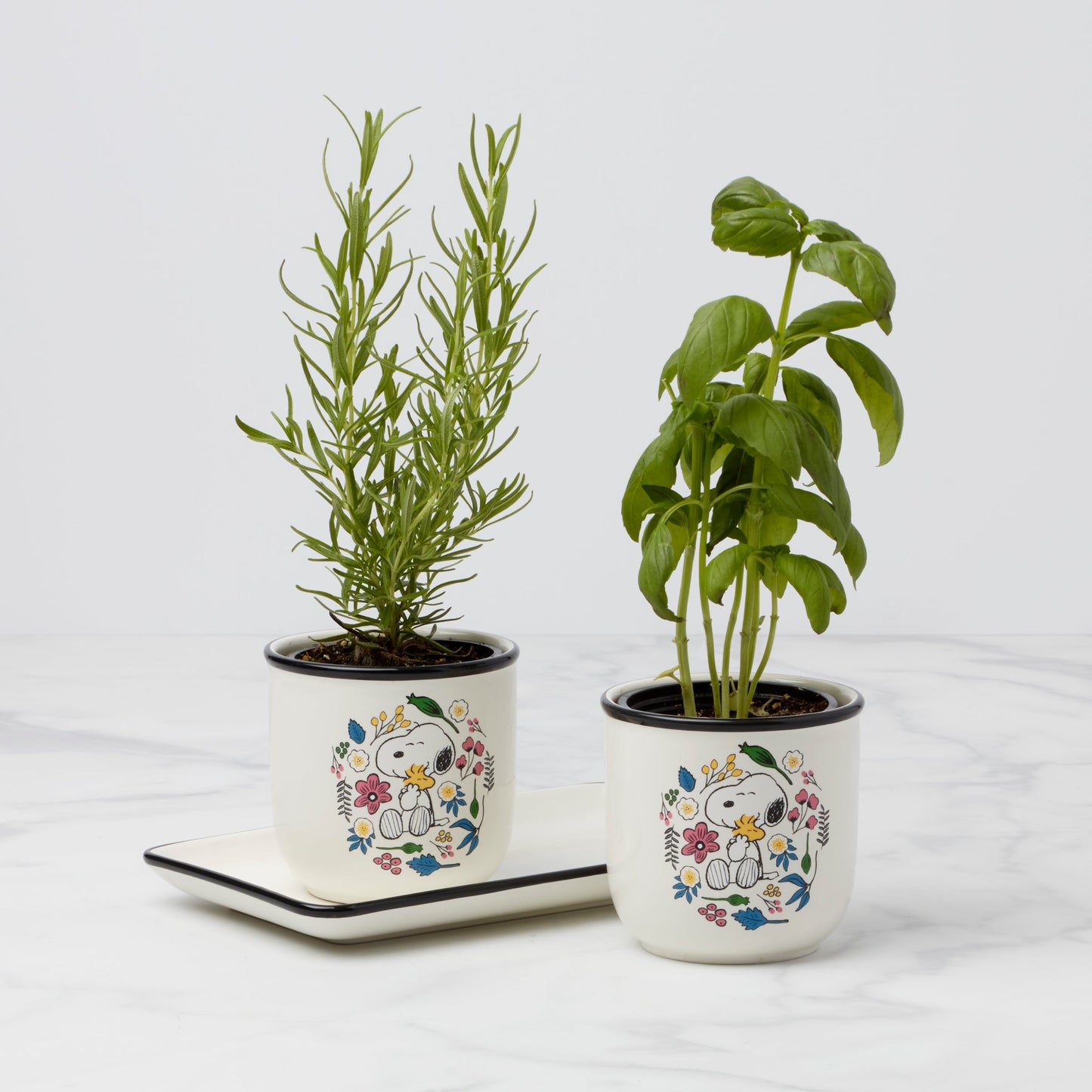 Chef Snoopy Herb Pots, Set Of 3