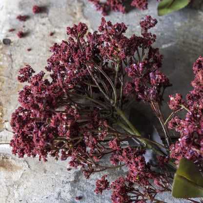Artificial Butterfly Bush Stem, Rouge