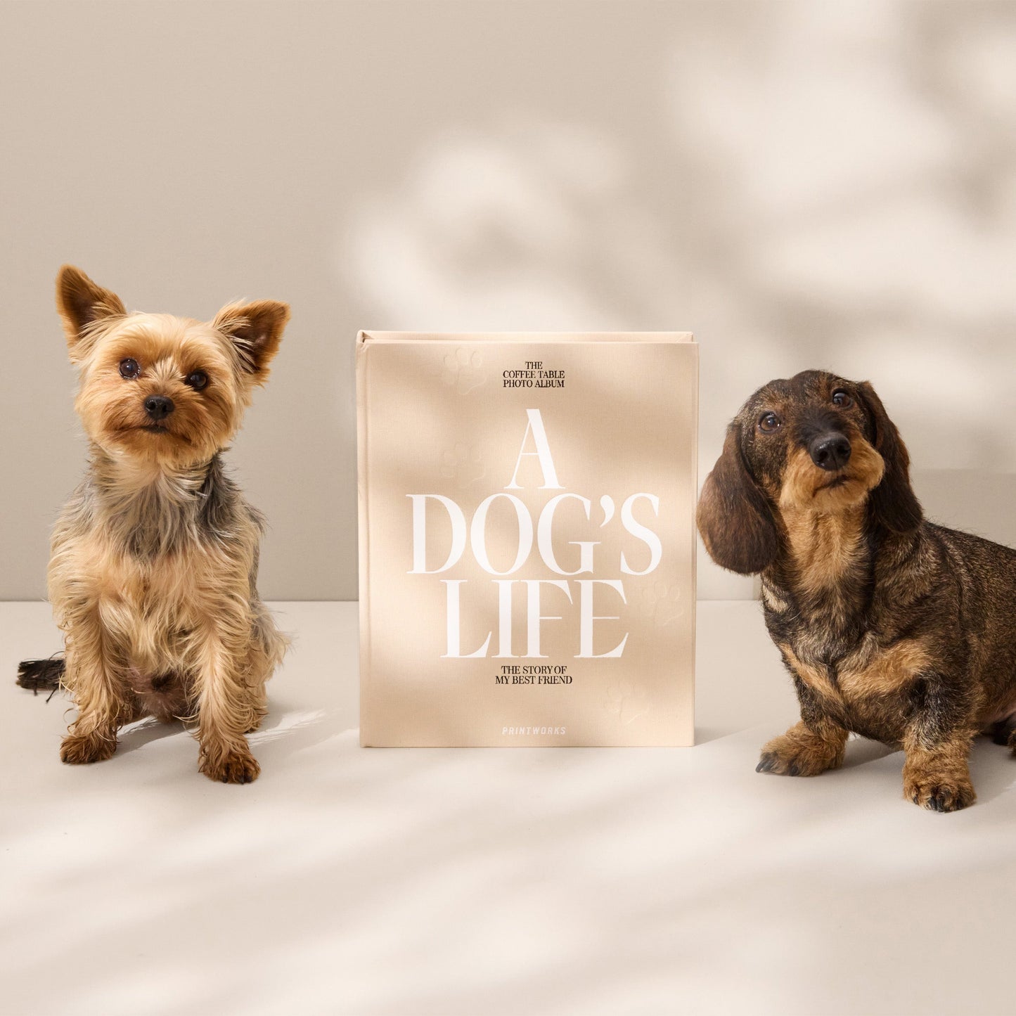 A Dog’s Life Photo Album