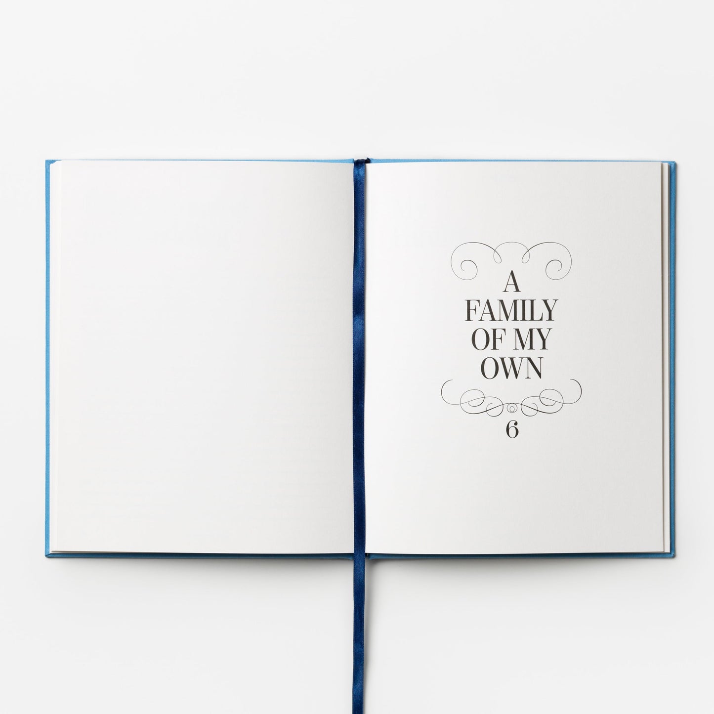 Once Upon a Time, The Book About My Life Story