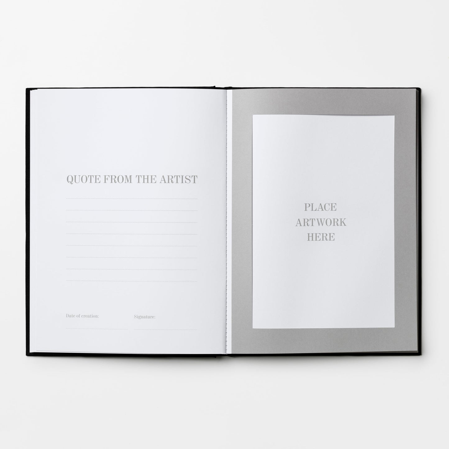 Great Art by a Great Artist Frame Book