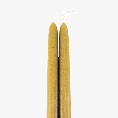 Dripless Chartreuse 12" Taper Candles, Set of 2