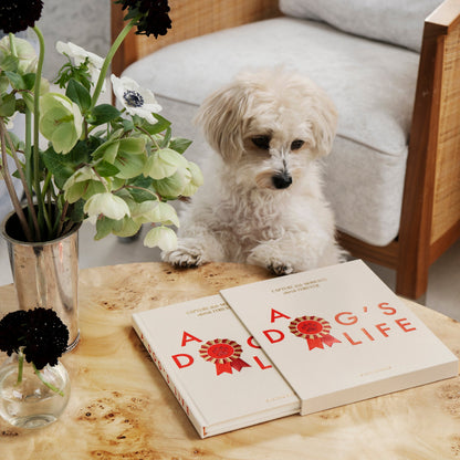 A Dog's Life Fill-In Journal