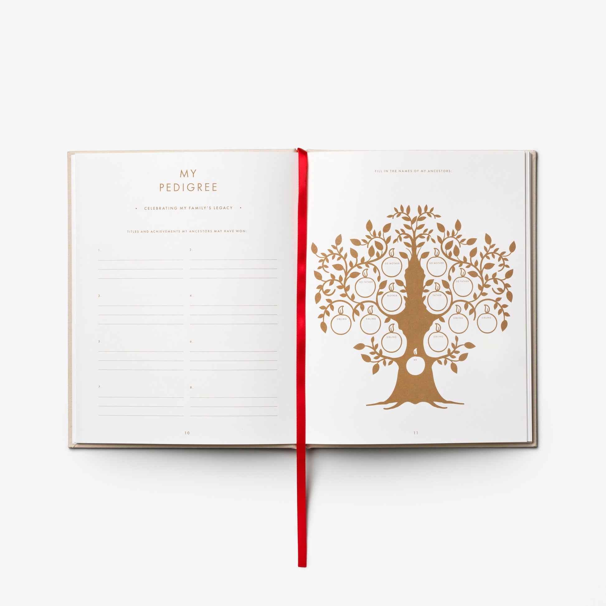A Dog's Life Fill-In Journal