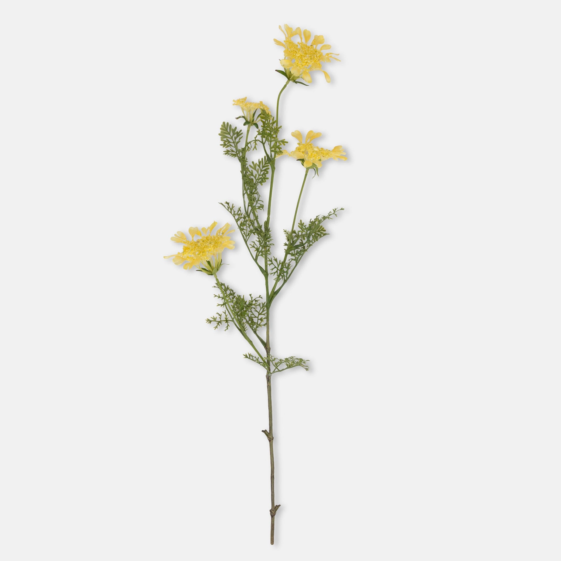 Artificial Wild Dill Stem