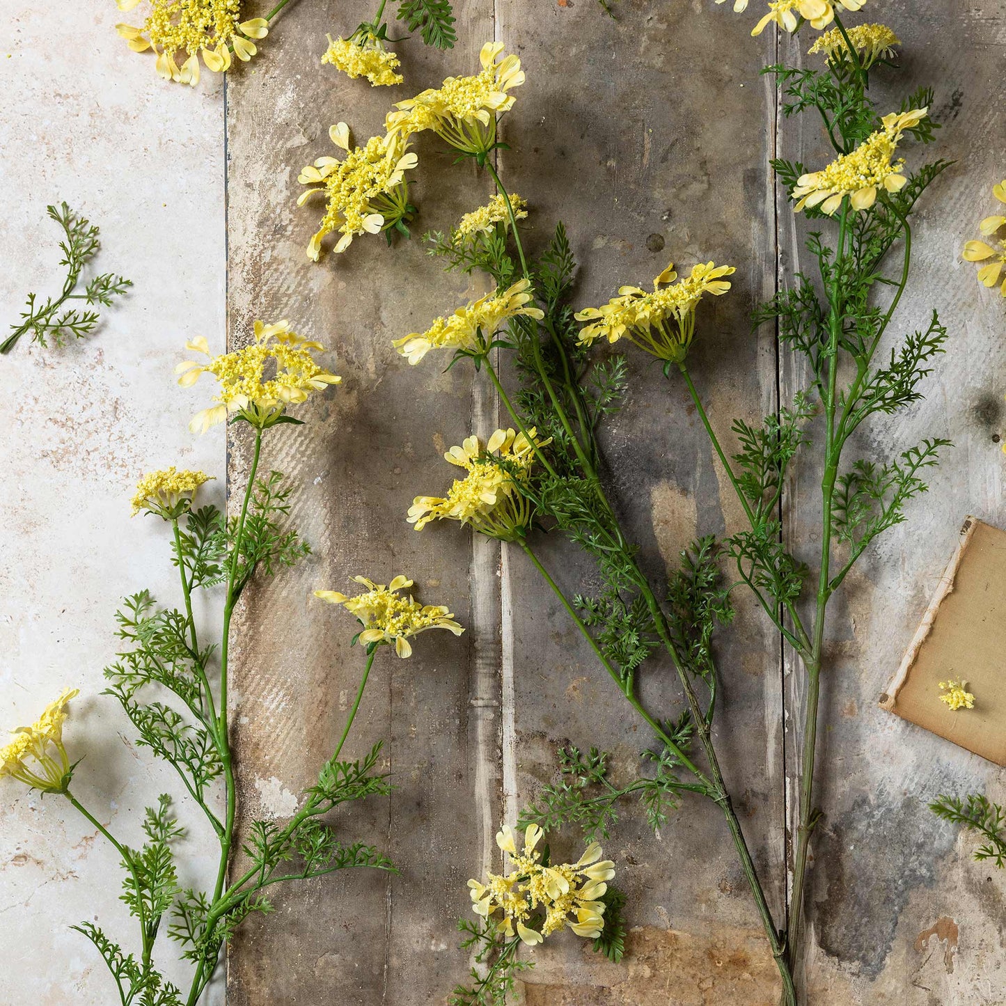 Artificial Wild Dill Stem