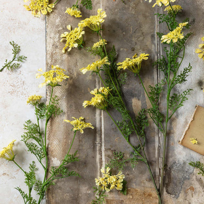 Artificial Wild Dill Stem