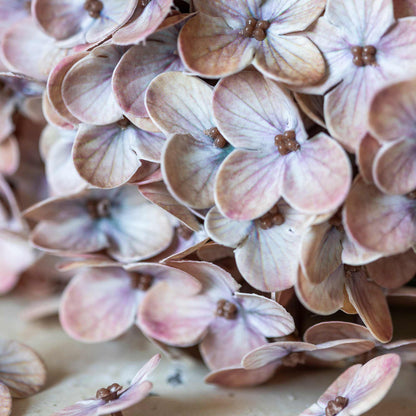 Artificial Real Touch Antique Blush Hydrangea Stem
