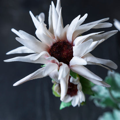 Artificial Blush Chrysanthemum Stem