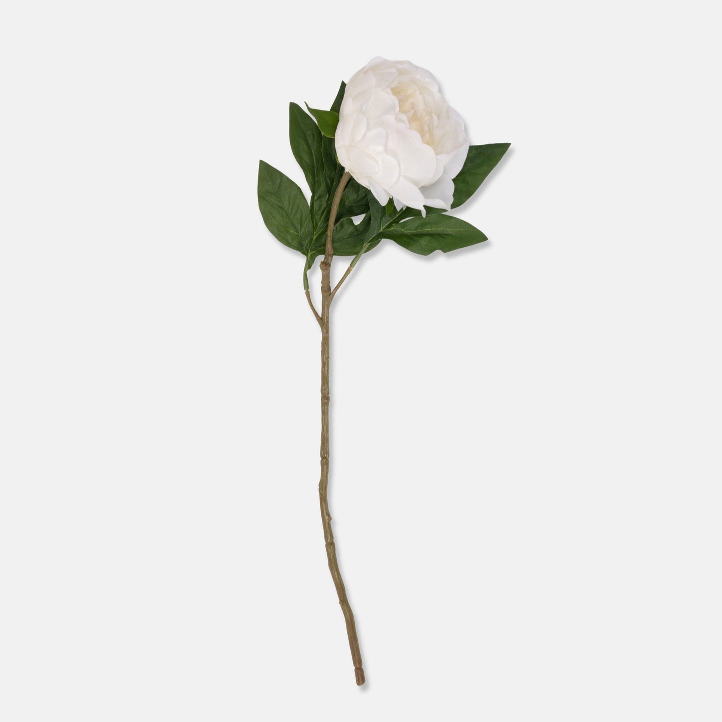 Artificial Real Touch White Peony Stem