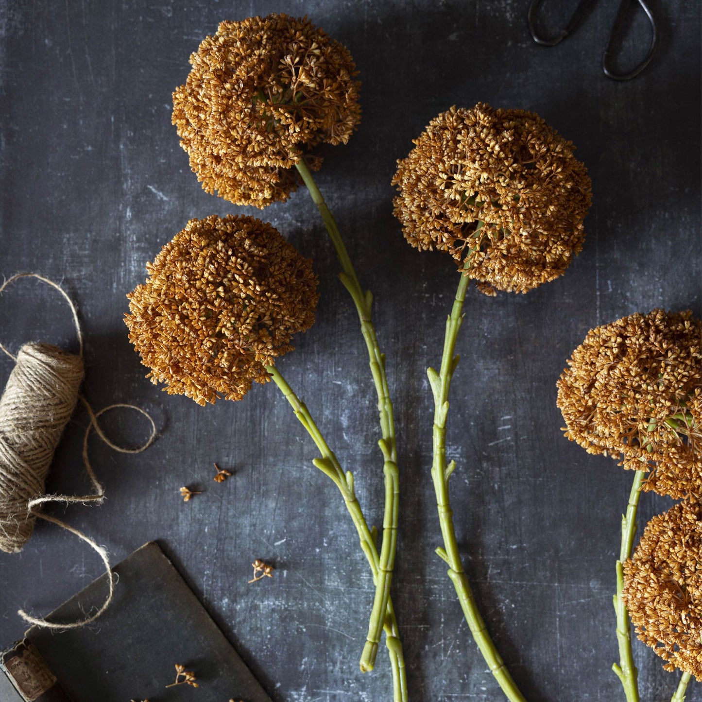 Artificial Umber Allium Stem