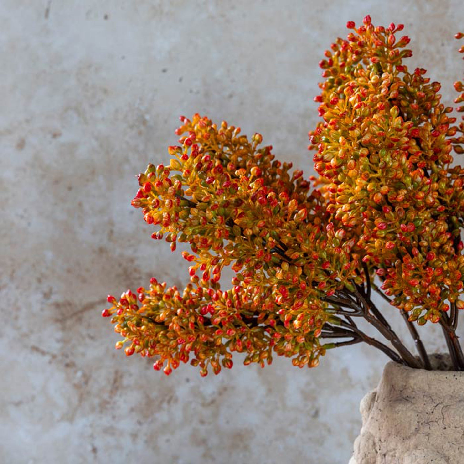 Artificial Sunset Sorghum Stem
