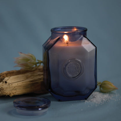 Botanica Sea Salt & Amber 8oz Candle